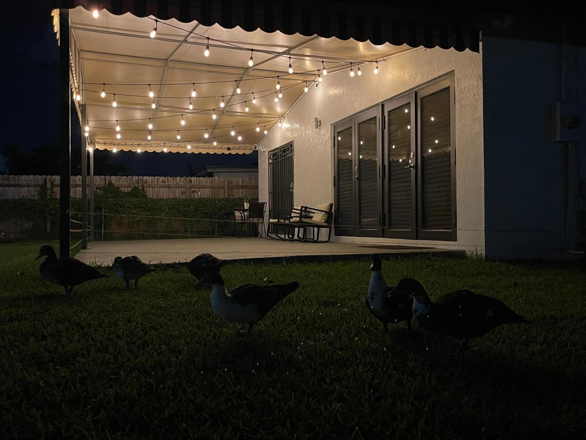 ホテル Lyz Miami コーラル・ゲーブルズ（フロリダ州） エクステリア 写真